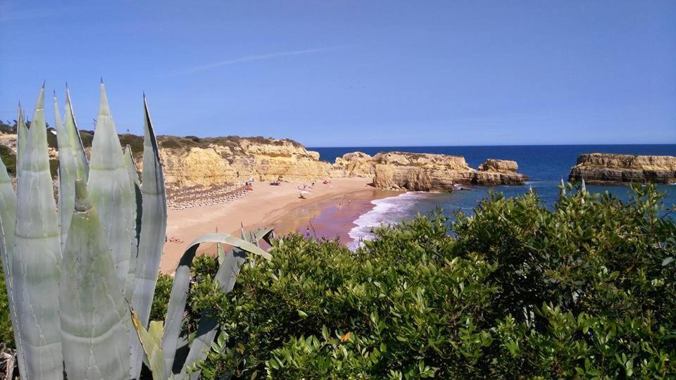 Villa Lena Albufeira Exterior photo